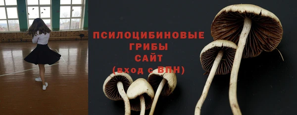 ешки Богородск