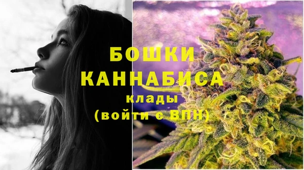 трава Богданович