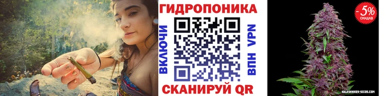Шишки марихуана конопля Мирный